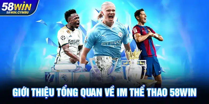Giới thiệu tổng quan về IM Thể thao 58Win