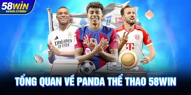 Tổng quan về Panda Thể thao 58Win